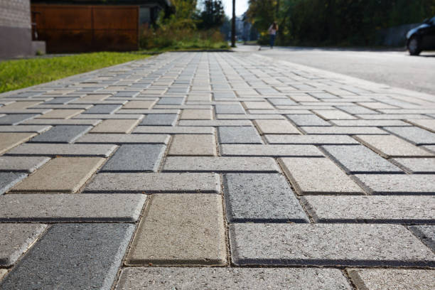 Best Professional Driveway Pavers  in Tampa, FL