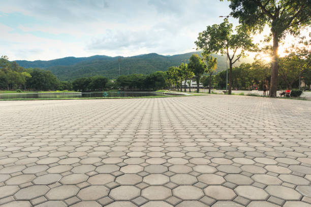 Best Concrete Paver Driveway  in Tampa, FL
